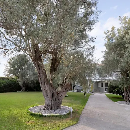 Elaia 4 Lefkada City